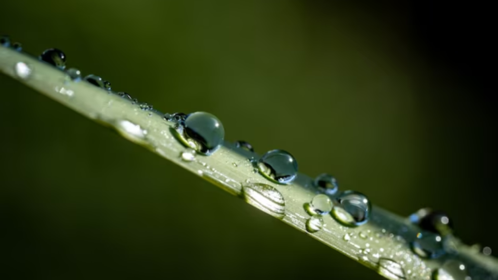 Kangen Water Drops
