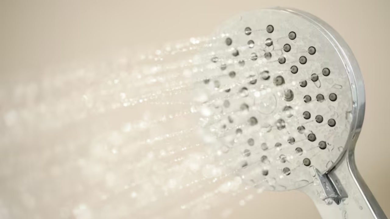 kangen water showerhead